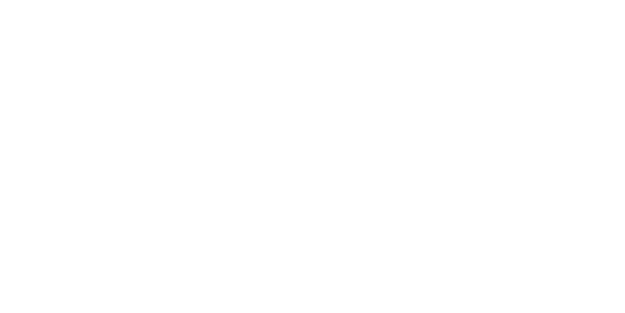 Pinnacle White Logo