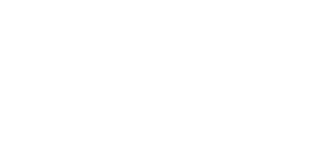 Pinnacle Logo in White